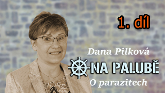 Na palub