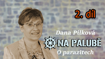 Na palub